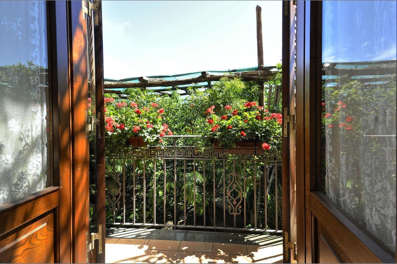 Anthea Sorrento Bed and Breakfast Εξωτερικό φωτογραφία
